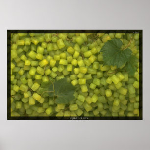 Square Grapes Poster