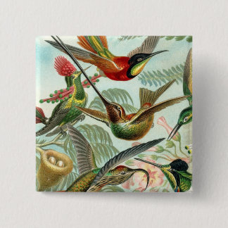 Square Hummingbird Button