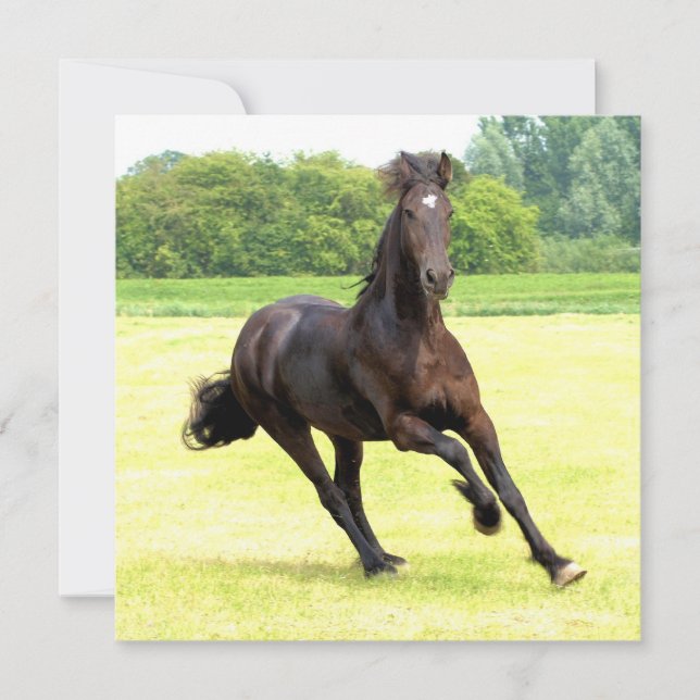 Square Invitation - Customised (Front)