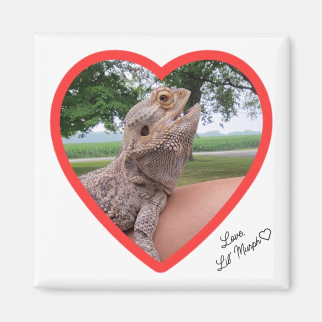 Square Lizard Love Magnet (Front)