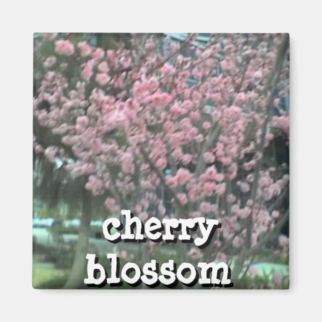 Square Magnet (Front)