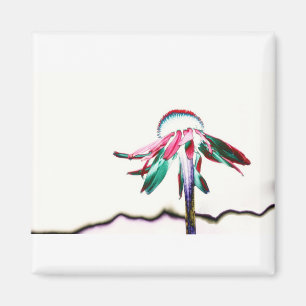 Square Magnet