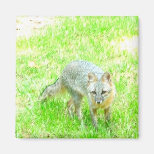 Square Magnet - Customised (Front)