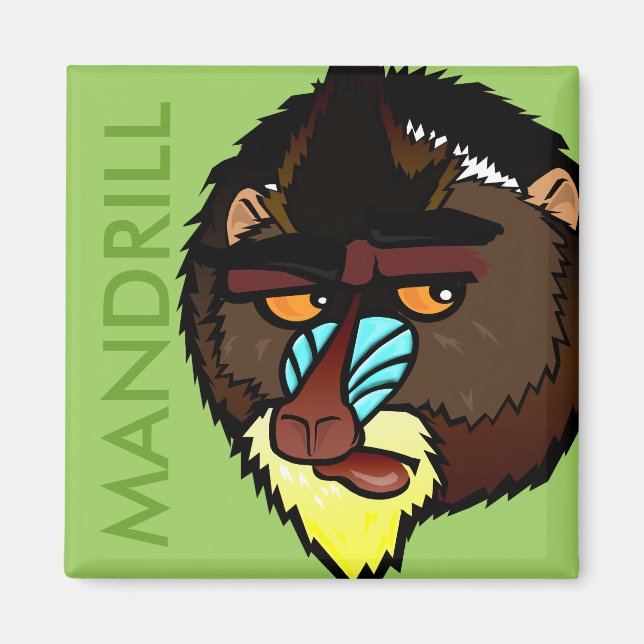 SQUARE MANDRILL MAGNET (Front)