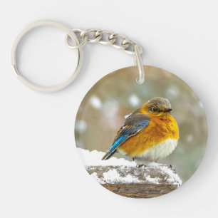square more room 2 key ring