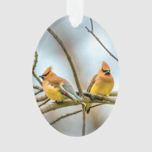 square ornament