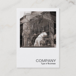 Square Photo 0122 - Caged Beasts Business Card