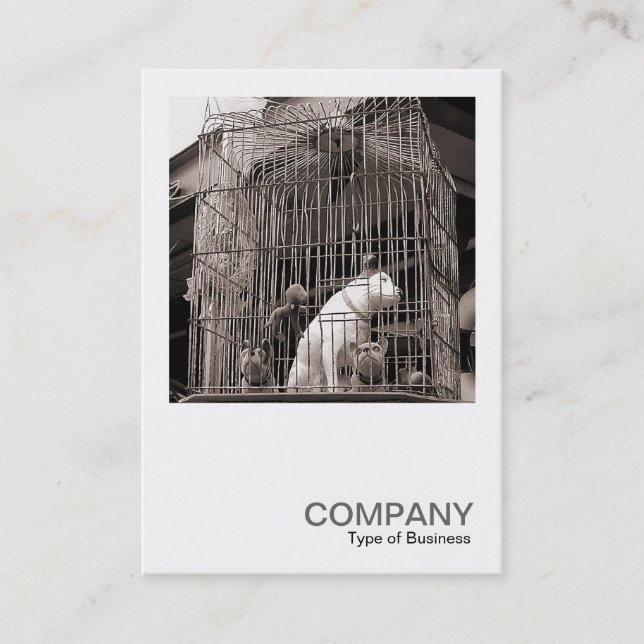 Square Photo 0122 - Caged Beasts Business Card (Front)