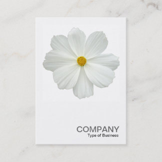 Square Photo 0161 - White Cosmos Flower Business Card