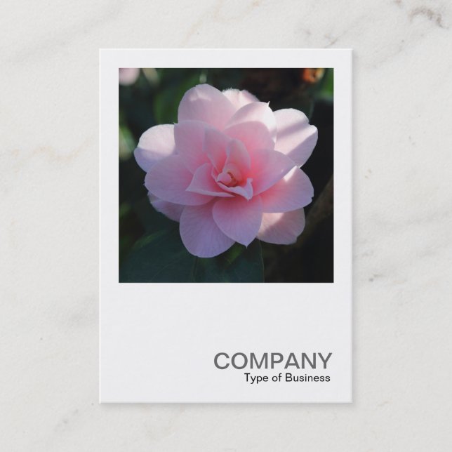 Square Photo 0394 - Pink Camellia Business Card (Front)