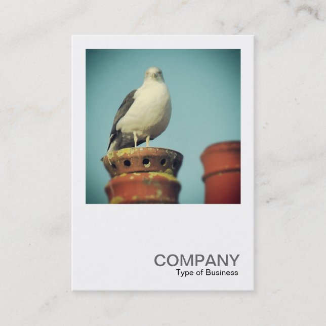 Square Photo 0427 - Favourite Perch Business Card (Front)