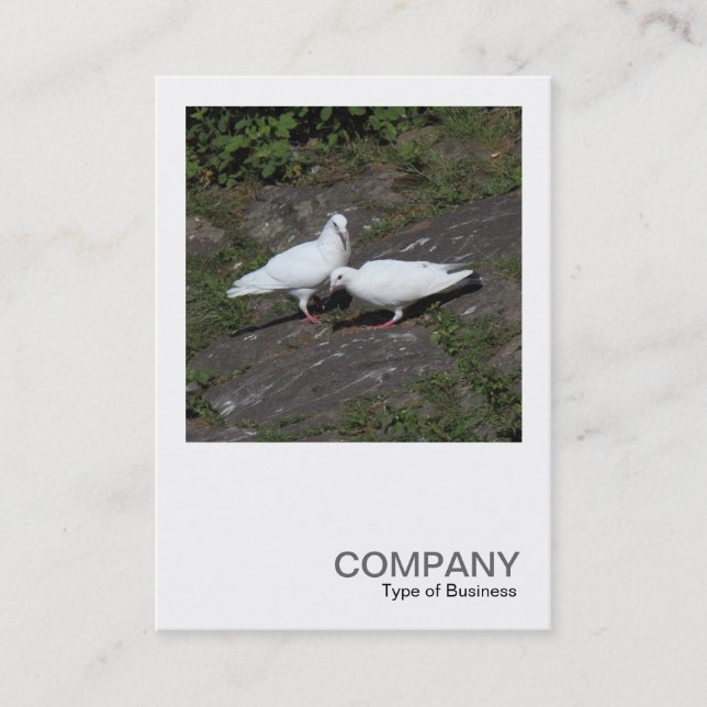 Square Photo 0451 - White Pigeons Business Card (Front)