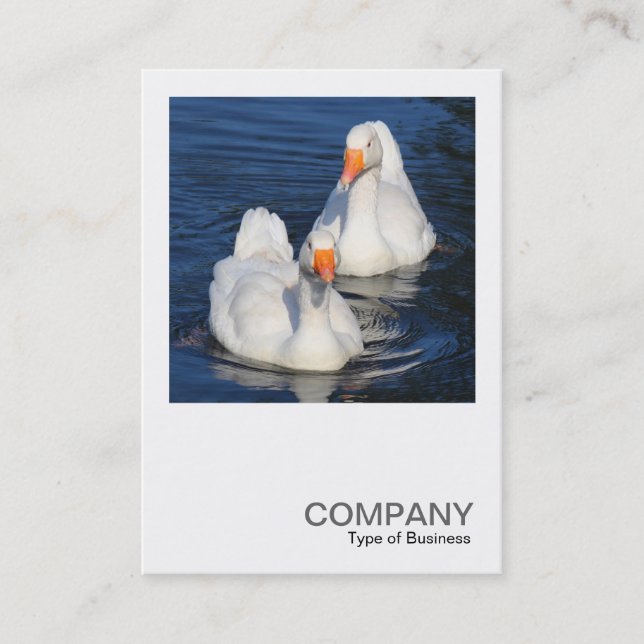 Square Photo 0478 - Two Emden Geese Business Card (Front)