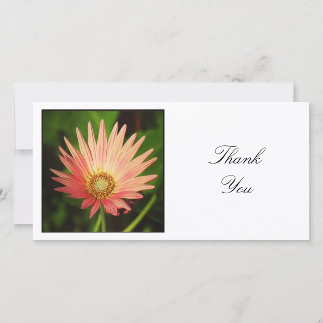 Square Photo - African Daisy Thank You Card (Front)