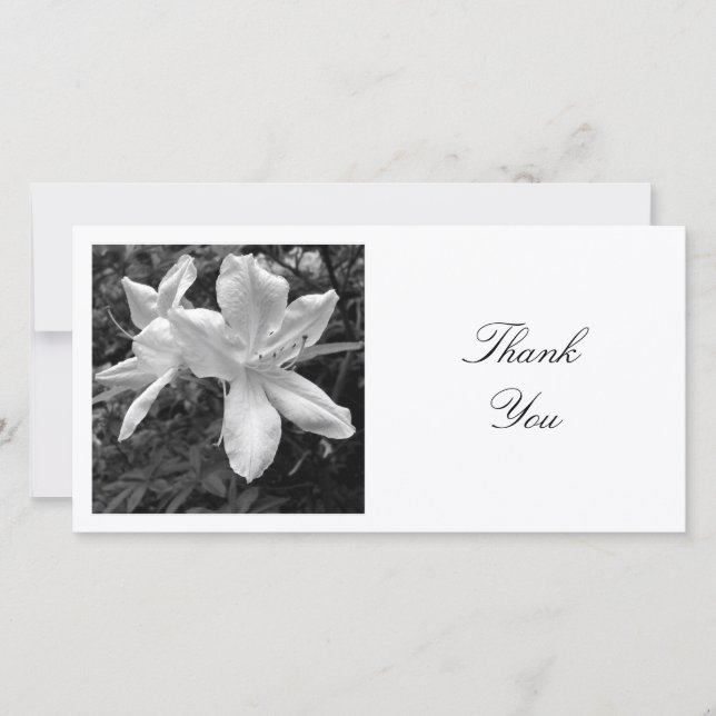Square Photo - Azaleas Thank You Card (Front)