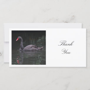 Square Photo - Black Swan Thank You Card