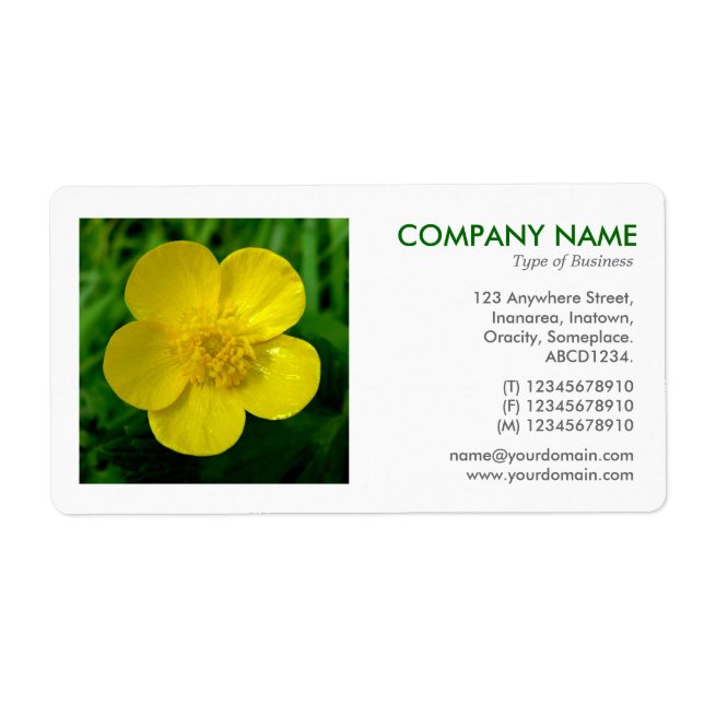 Square Photo - Buttercup (Front)