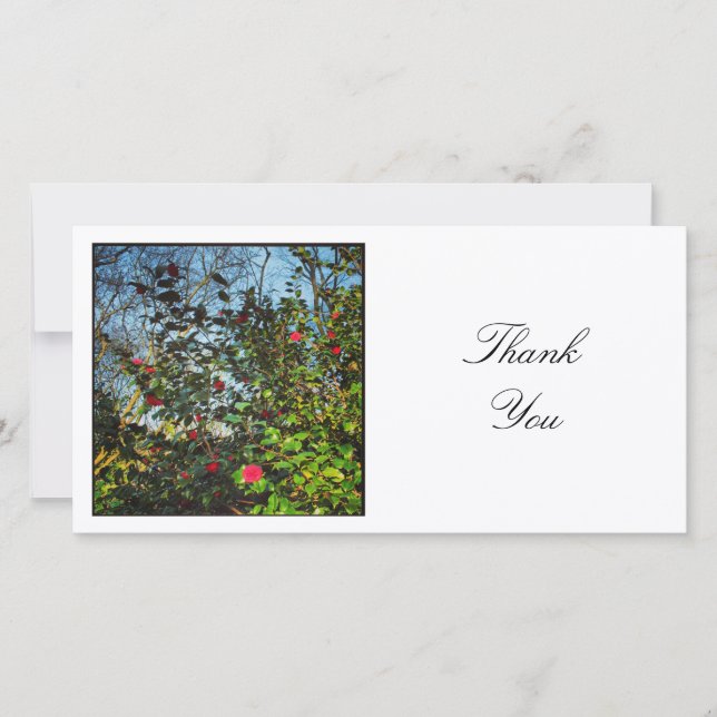 Square Photo - Camellias 02 Thank You Card (Front)