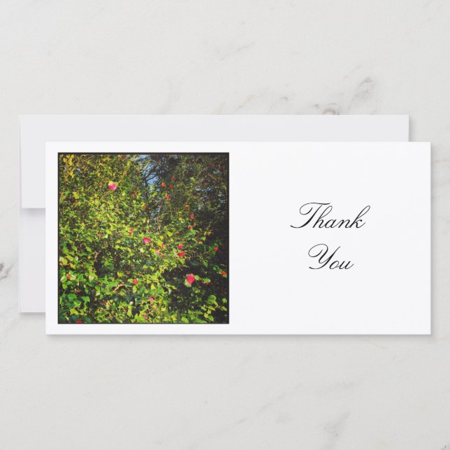 Square Photo - Camellias Thank You Card (Front)
