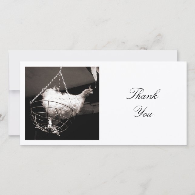 Square Photo - Chicken in the Basket Thank You Card (Front)