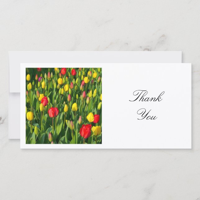 Square Photo - Colourful Tulips Thank You Card (Front)