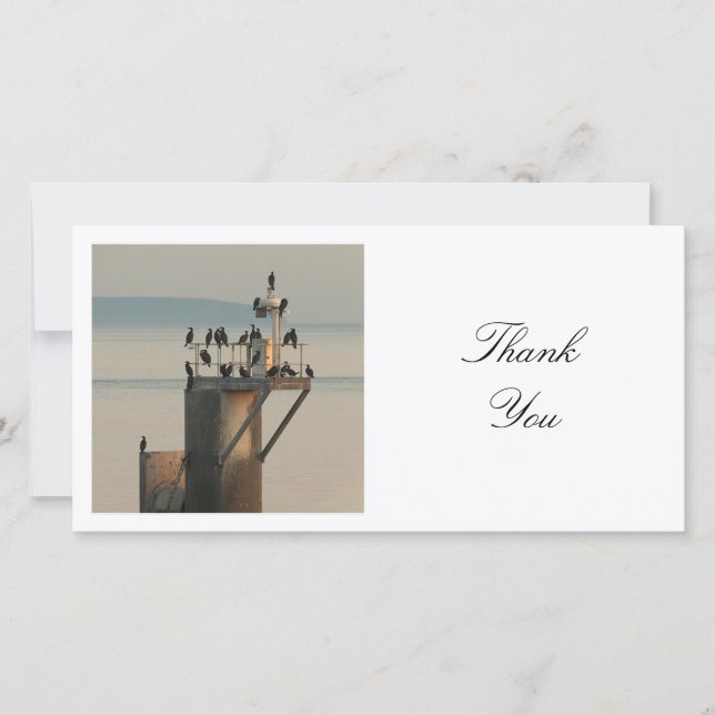 Square Photo - Cormorants Thank You Card (Front)