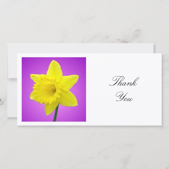 Square Photo - Daffodil on Magenta and Purple Thank You Card (Front)