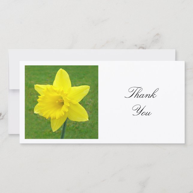 Square Photo - Daffodil Thank You Card (Front)
