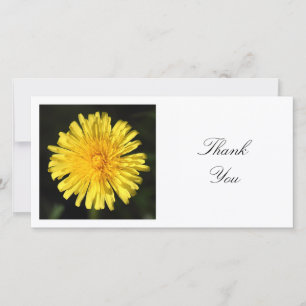 Square Photo - Dandelion Thank You Card