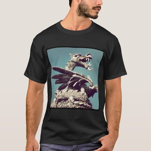 Square Photo - Dragon T-Shirt (Front)
