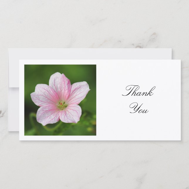 Square Photo - Geranium Thank You Card (Front)