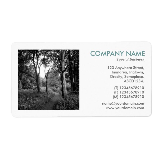 Square Photo - In the Woods (Front)