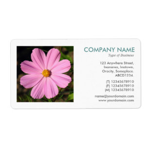 Square Photo - Pink Cosmos