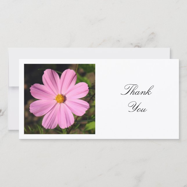 Square Photo - Pink Cosmos Thank You Card (Front)