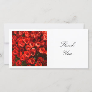 Square Photo - Red Tulips Thank You Card