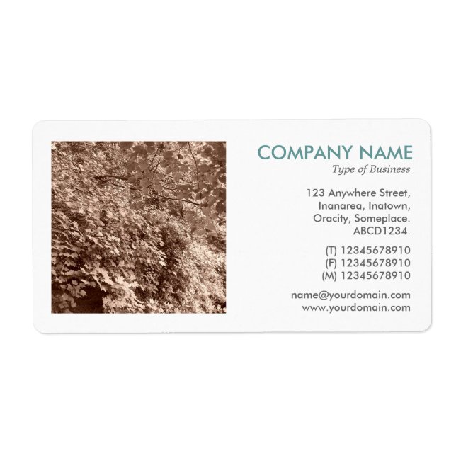 Square Photo - Sepia Leaves (Front)