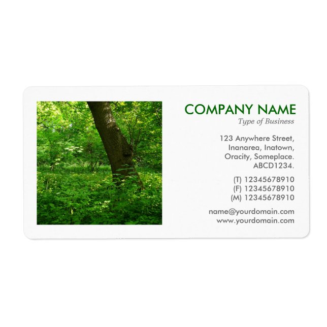 Square Photo - Spring in the Woods (Front)