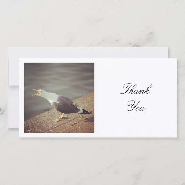 Square Photo - Squawking Seagull Thank You Card (Front)
