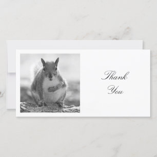 Square Photo - Squirrel - Black and White Thank You Card