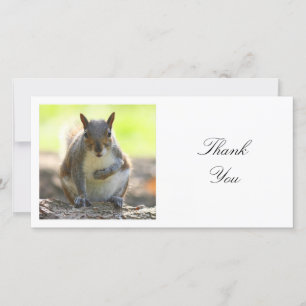 Square Photo - Squirrel Thank You Card