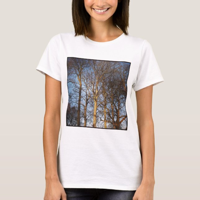 Square Photo - Sunlit Winter Trees T-Shirt (Front)
