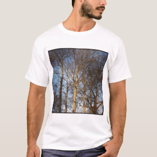 Square Photo - Sunlit Winter Trees T-Shirt