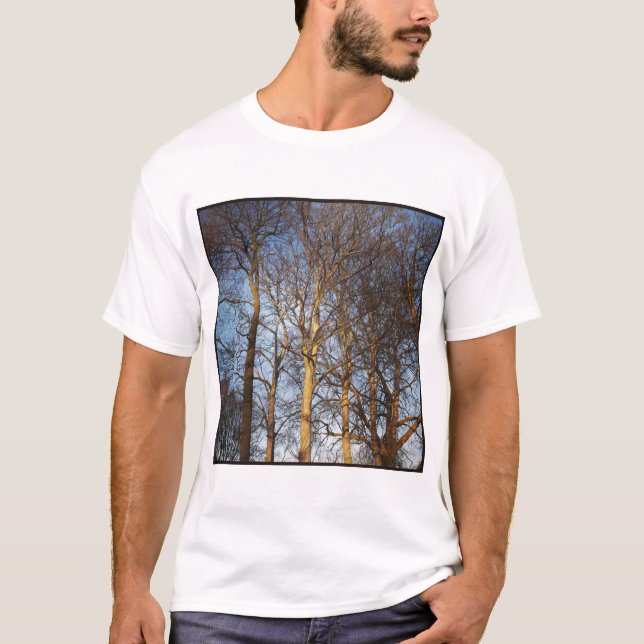 Square Photo - Sunlit Winter Trees T-Shirt (Front)