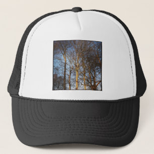 Square Photo - Sunlit Winter Trees Trucker Hat