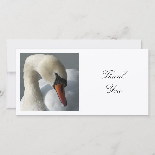 Square Photo - Swan Thank You Card (Front)