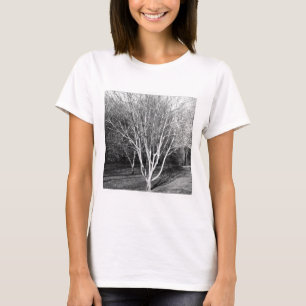 Square Photo - Tree T-Shirt