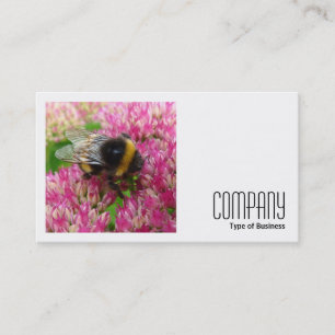 Square Photo (v2) - Bumble Bee on Sedum Business Card