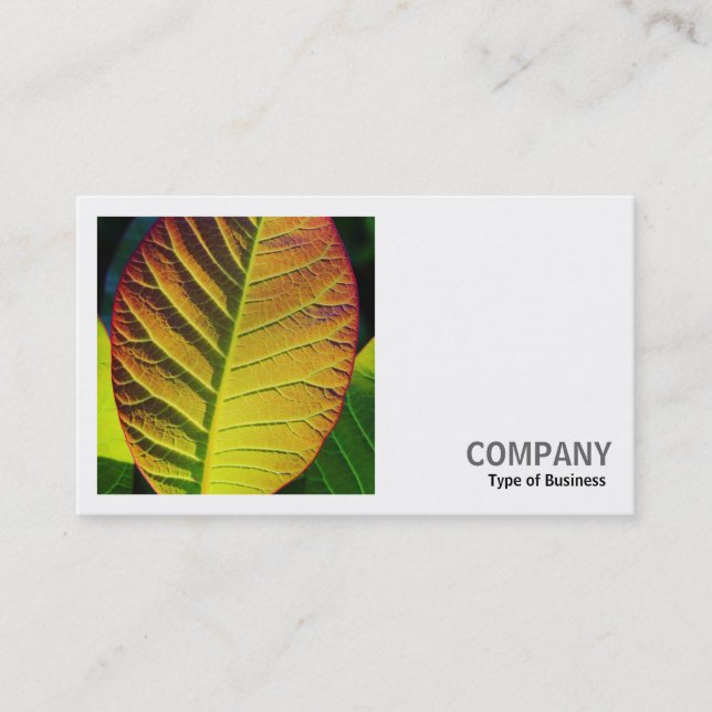 Square Photo (v2) - Colourful Leaf Business Card (Front)
