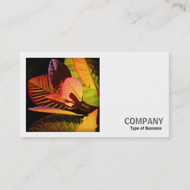 Square Photo (v2) - Colourful Leaves Business Card (Front)