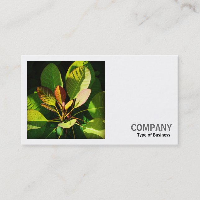 Square Photo (v2) - Colourful Sunlit Leaves Business Card (Front)
